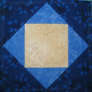 Square in a Square2