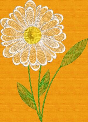 Daisy Sketch